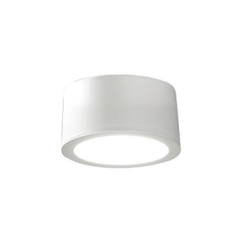 ceiling light